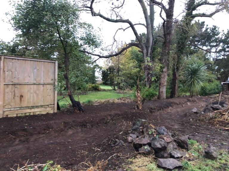 Border hedge after